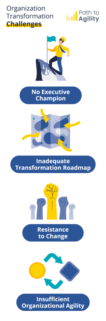 Challenges in organizational transformation: lack of champion, unclear roadmap, resistance, and agility issues.